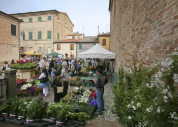 Saludecio, SalusErbe