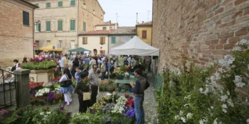 Saludecio, SalusErbe