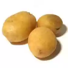 montescudo patata1