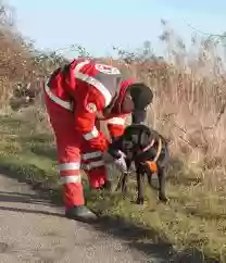 cane soccorso