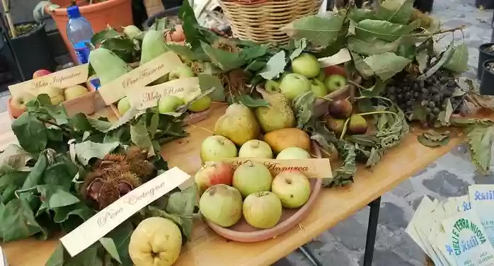 pennabilli antichifrutti1