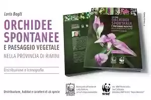 loris bagli_pubblicazione orchidee e paesaggio vegetale 2014
