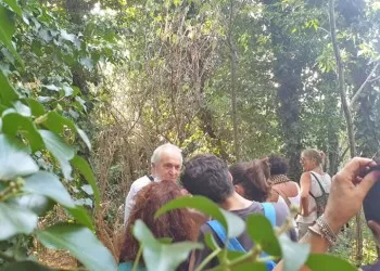 Mario Garattoni