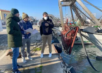 Alessandro Belluzzi, Nicola Tontini ed il tecnico di Palazzo Mancini, Marco Vescovelli, durante un sopralluogo al Porto lo scorso dicembre 2021