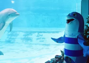 Natale ad Oltremare Riccione