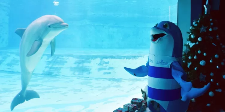 Natale ad Oltremare Riccione