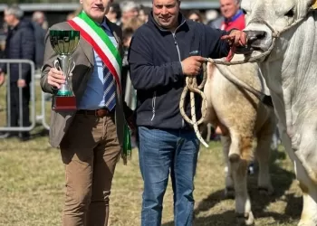 ciottiindovinello23