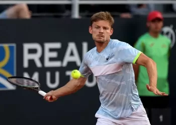 David Goffin