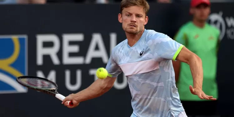 David Goffin