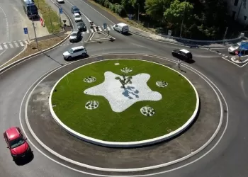 Il povero ulivo "menomato"