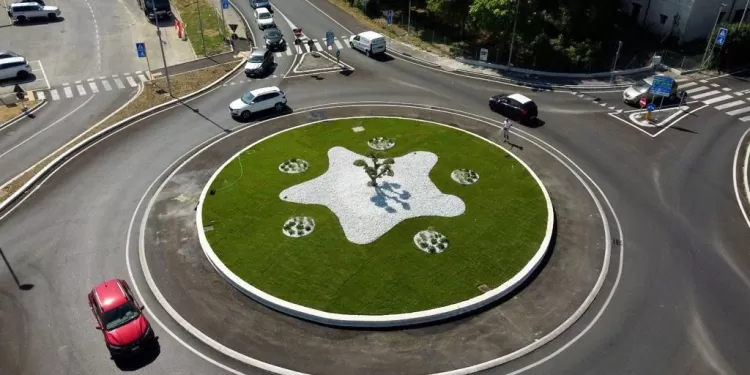 Il povero ulivo "menomato"