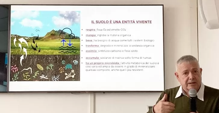 Vanni Ficola
