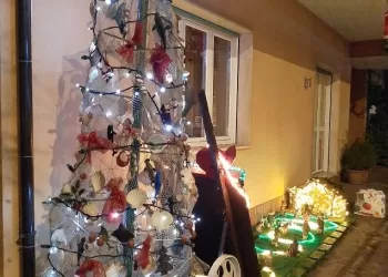 L'albero di Lele Montanari