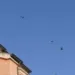 Rimini,  colonia di rondoni chiesa di San Giuliano