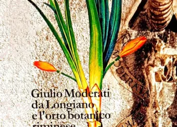La copertina del libro