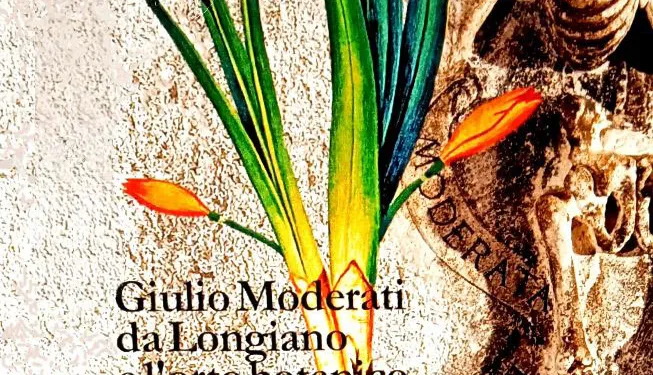 La copertina del libro