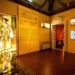 Museo nazionale Rossini