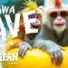 spot Aquafan Riccione