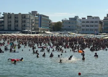 Bellaria