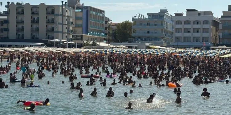 Bellaria