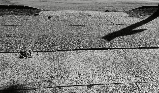 Dove è caduta la signora