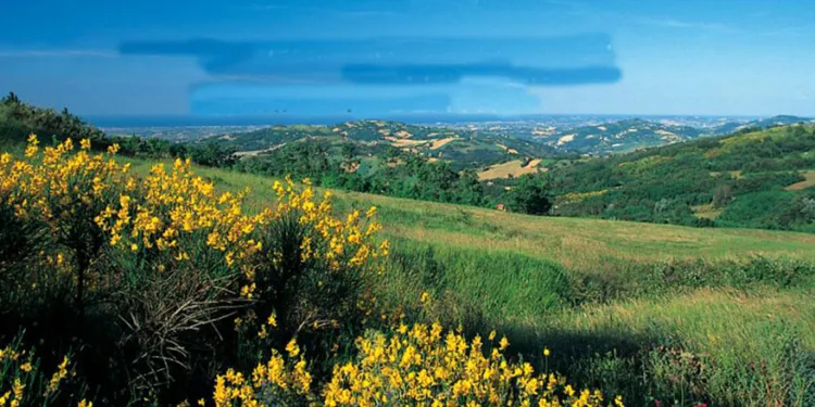 Valconca