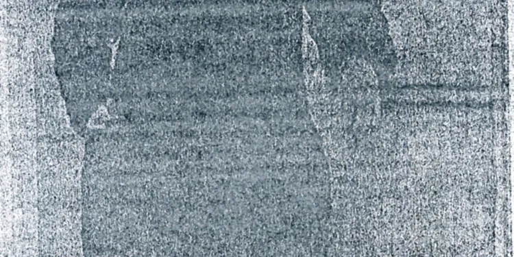 cervesidomenico1814 - 1878