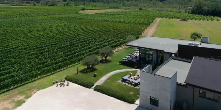 Enio Ottaviani, cantina con vigneti