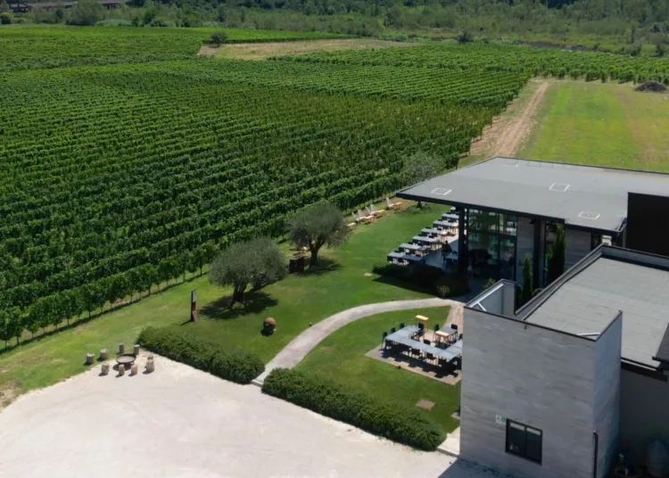 Enio Ottaviani, cantina con vigneti