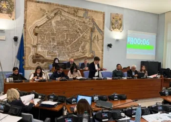 Pesaro, consiglio comunale