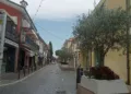 Gli infelici ulivi in viale Fratelli Cervi