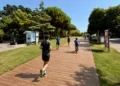 Passeggiata sul Rio Agina, rendering