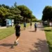 Passeggiata sul Rio Agina, rendering
