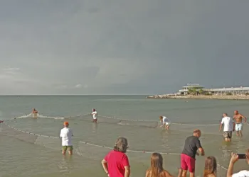Cattolica, la rievocazione della tratta