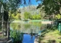 Cattolica, Parco della Pace