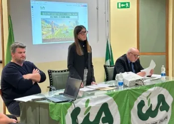 Debora Peruzzi